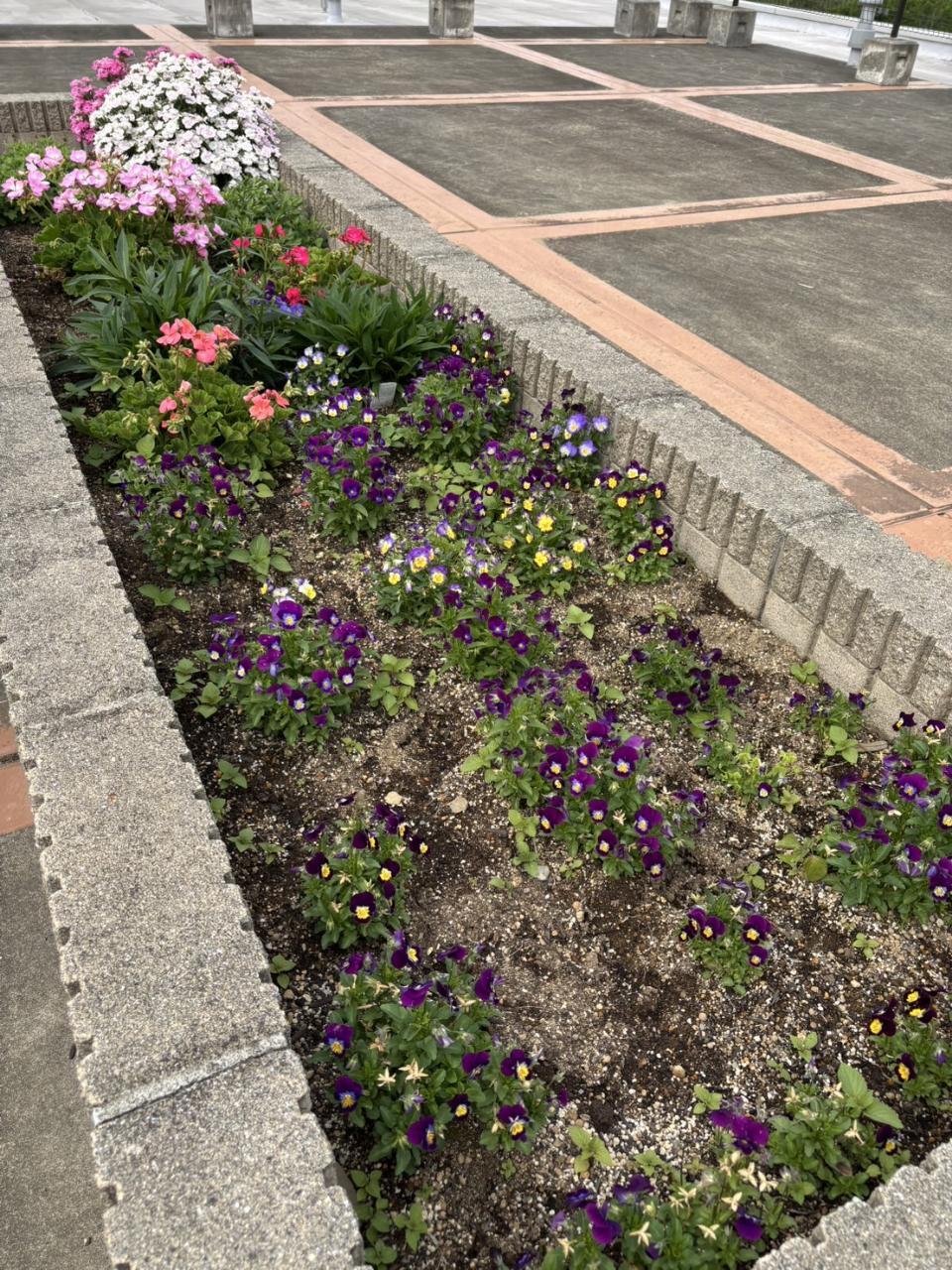 花壇今1.jpg