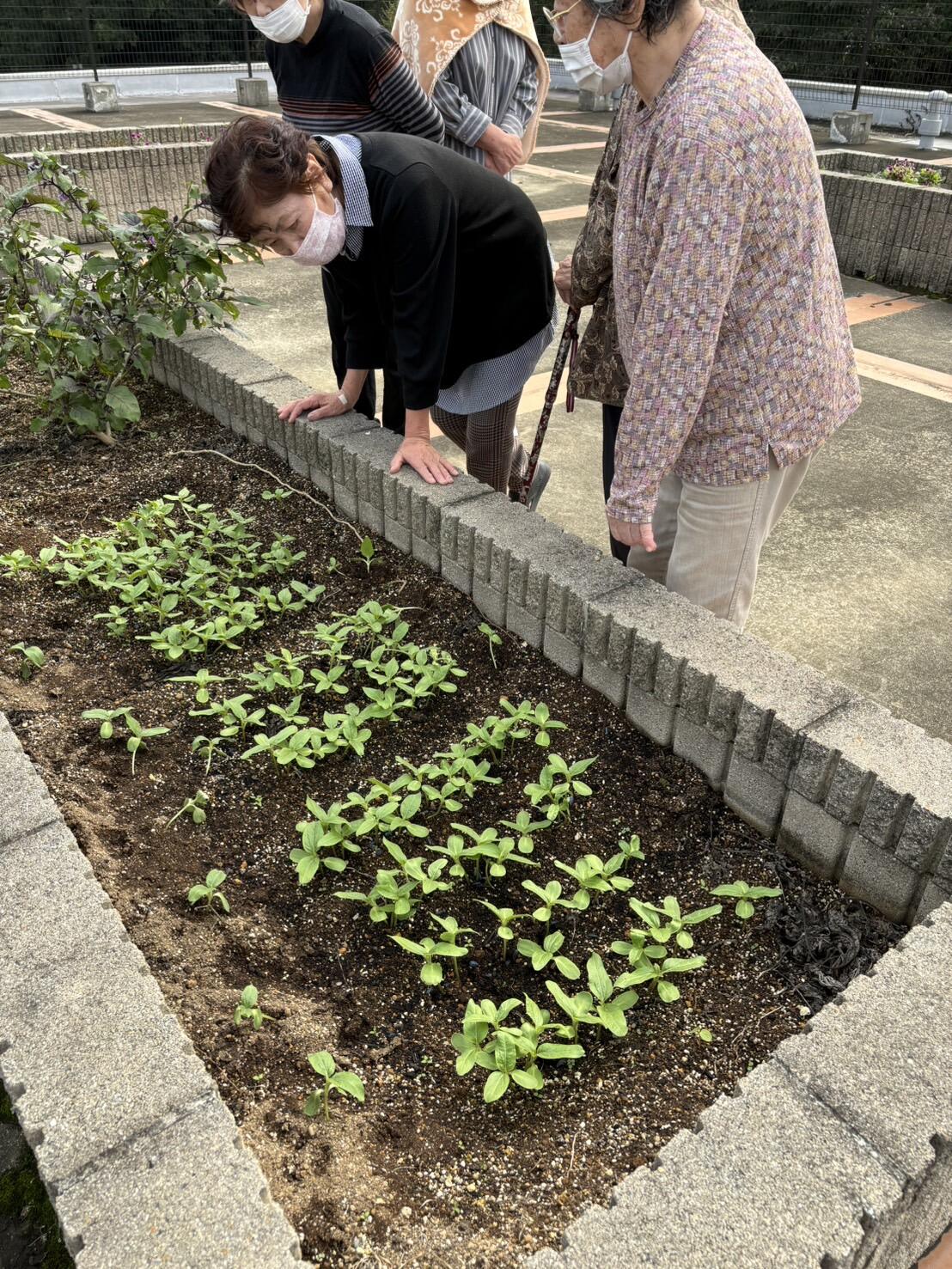 1730862468267 屋上写真③.jpg