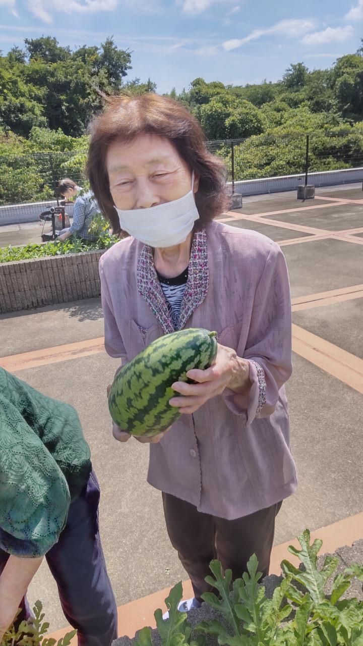 スイカ節子.JPG