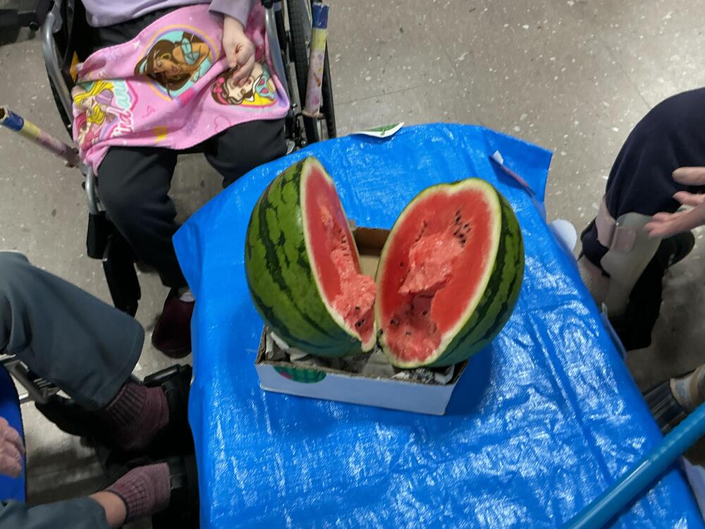 写真９（割れたスイカ）.JPG